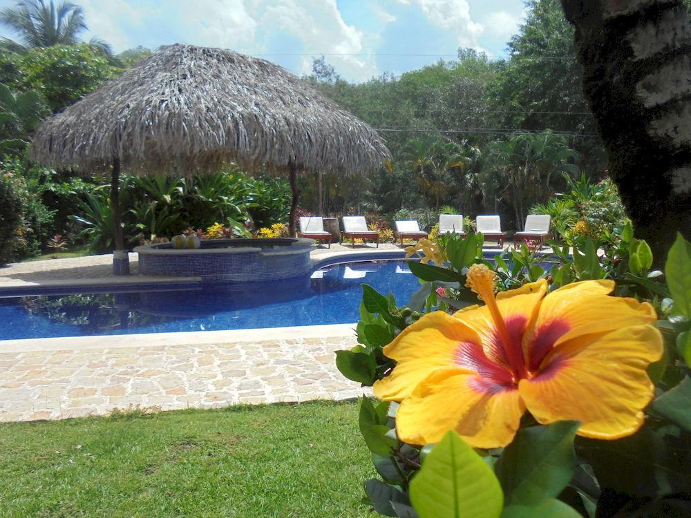Delfin Beach Front Resort استريلوس المظهر الخارجي الصورة